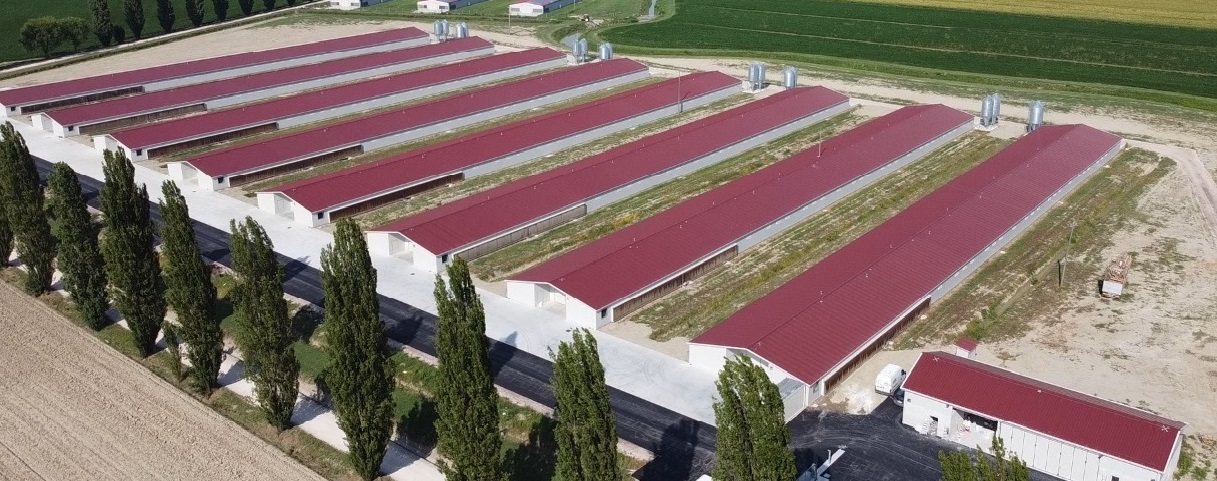 BÂTIMENTS PREFABRIQUÉS POUR L’AVICULTURE