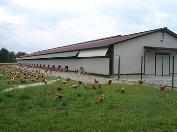 BÂTIMENTS PREFABRIQUÉS POUR ÉLEVAGES BIOLOGIQUES ET EN PLEIN AIR