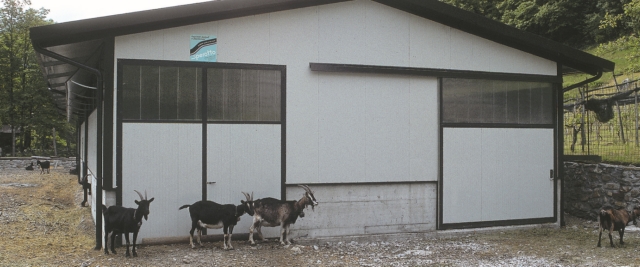 SHEEP SHEDS