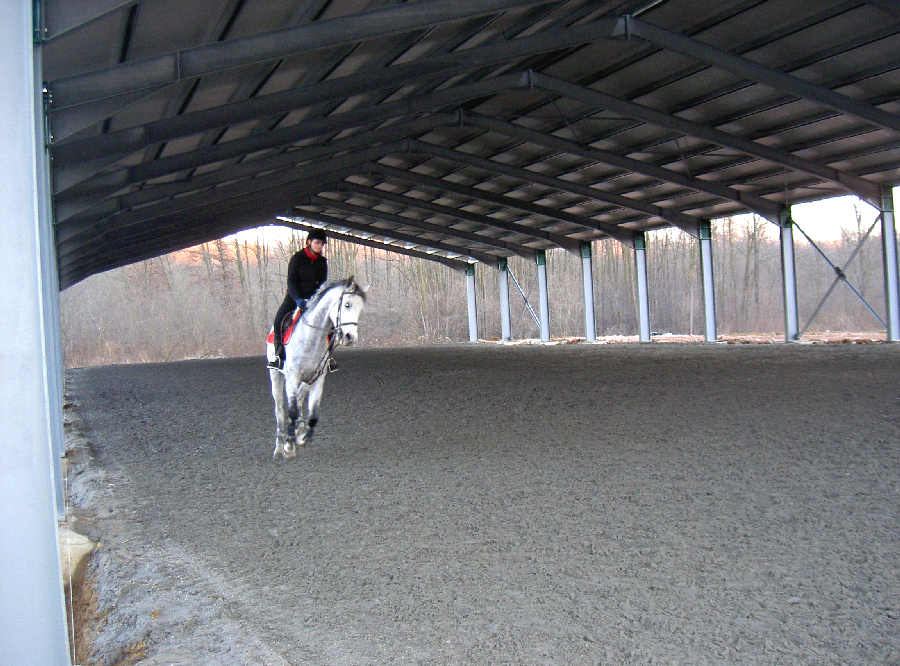 STABLES FOR HORSES